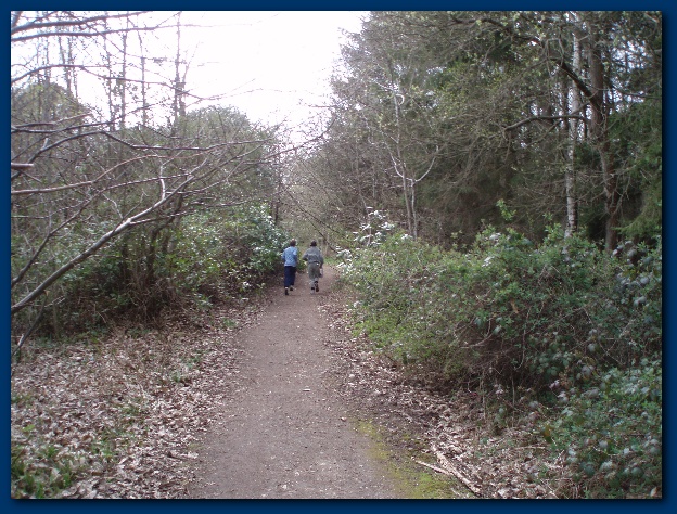 600x449 pixels (189K)